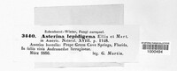 Image Associated With the Occurence
